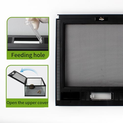 Reptile Glass Terrarium Tank 12 * 12 * 8" Full View with Top Ventilation, Amphibians Box Habitat Enclosure Cage for Frog,Spiders,Dubia Cockroach,Praying Mantis,Cricket,Tarantula,Hermit Crab - size: 12*12*8inch