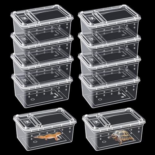 10Pcs Reptile Feeding Box, Transparent Animal Habitat Cage Spider Terrarium, Plastic Breeding Box for Reptile Turtle Spider Frog Scorpion Snake (5.9 x 3.9 x 2.5 in)