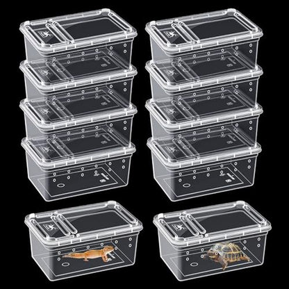 10Pcs Reptile Feeding Box, Transparent Animal Habitat Cage Spider Terrarium, Plastic Breeding Box for Reptile Turtle Spider Frog Scorpion Snake (5.9 x 3.9 x 2.5 in)