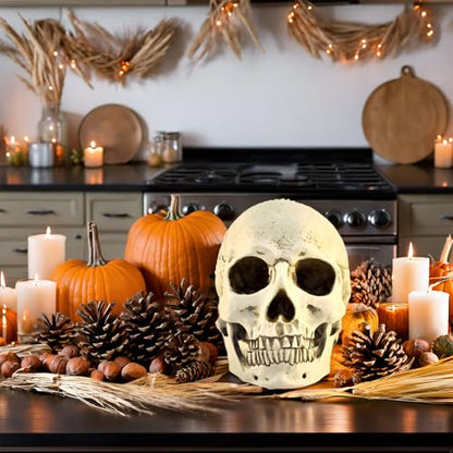 1:1 Resin Skull Head Model Simulation Skeleton Head Medical Skull Art Copy for Halloween Decor