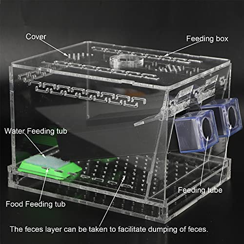 Cricket Keeper with Tubes, High Transparency Acrylic Material Cricket Keeper for Office for Home(L)