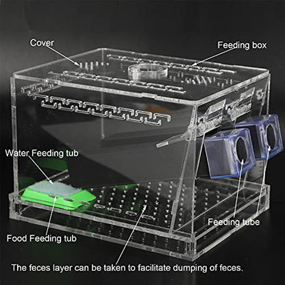 Cricket Keeper with Tubes, High Transparency Acrylic Material Cricket Keeper for Office for Home(L)