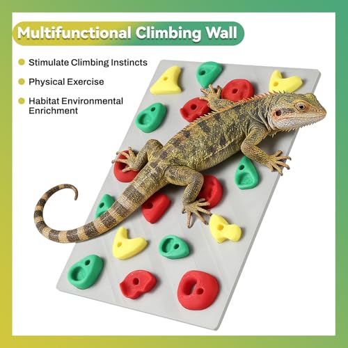 MITCHENIFY Climbing Wall for Reptiles, Reptile Tank Terrarium Accessories Habitat Decor for Bearded Dragons, Leopard Geckos, Lizards, Snakes, Tree Frogs, Amphibian Paludariums Enclosure Supplies