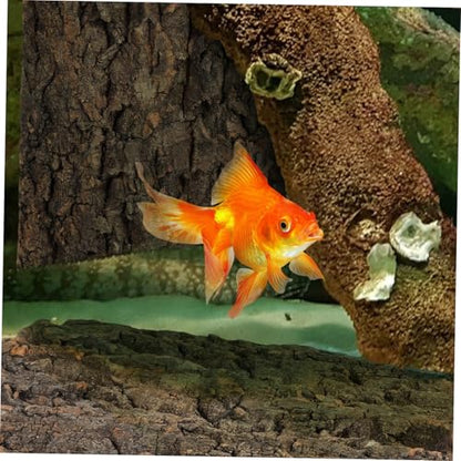 MERRYHAPY 2pcs Reptile Cork Bark for Aquarium and Terrarium Decor Flexible Climbing Ornament for and Fish Tanks and Natural Bark Centerpiece