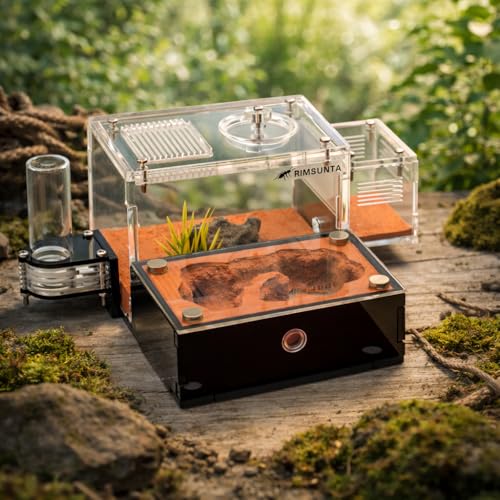 Terra Core Series S Ant Nest Starter Kit for Beginner Ant Keeping 5.9 x 4.52 x 3.54 in - size: Terra Core Series-S
