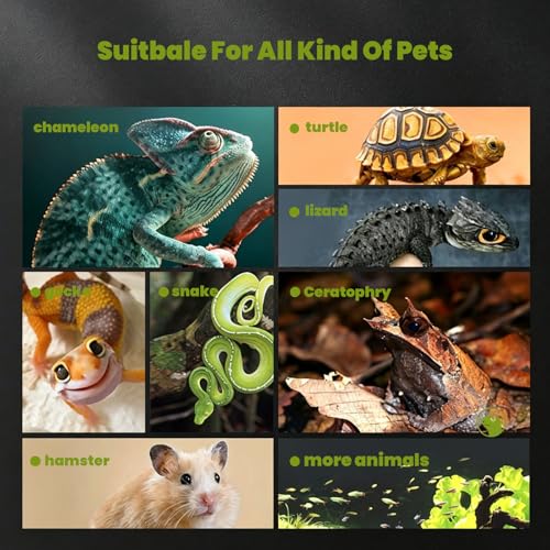 7 Gallon Glass Reptile Terrarium 12"x12"x12" – Cube Reptile Tank for Leopard Gecko, Hermit Crab, Snake, Frog, Tarantula, Isopod Enclosure - size: 12*12*12in
