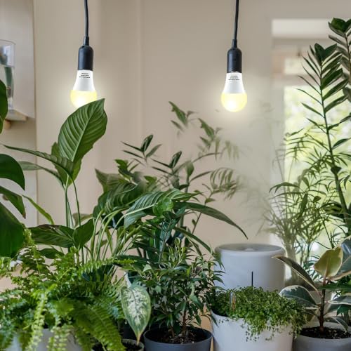 2 Pack LED Grow Light Bulbs A19 Bulb, Full Spectrum Plant Light Bulb, 9W E26 Grow Bulb Replace up to 80W, Grow Light for Indoor Plants, Flowers, Greenhouse, Indore Garden, Hydroponic - size: 2 Count (Pack of 1)