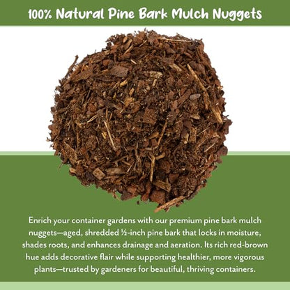 Soil Sunrise 100% Natural Pine Bark Mulch Nuggets (30 Quarts) Small Mulch Chips for Indoor/Outdoor Container Gardening, Ideal for Soil Supplement, Houseplant Mulch, and Terrariums - size: 30 Quarts
