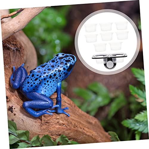 Reptile Feeder with Suction Cup Double Cup Food and Water Bowl for Lizards Geckos Bearded Dragons Easy to Clean and Install Feeding Tool for Crawling Pets