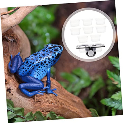 Reptile Feeder with Suction Cup Double Cup Food and Water Bowl for Lizards Geckos Bearded Dragons Easy to Clean and Install Feeding Tool for Crawling Pets