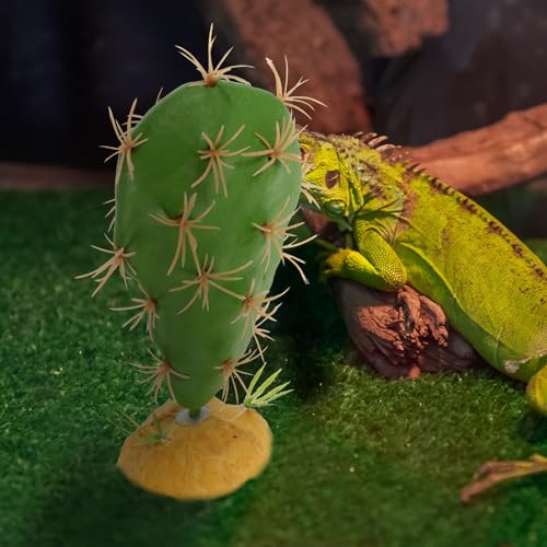 POPETPOP Reptile Terrarium Artificial Cactus Plant for Habitat Decor, Sturdy Plastic Reptile Accessory for Amphibians and Small Pets, Desert Style Tank Decoration