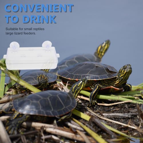 Sosoport Suction Cup Reptile Feeder Acrylic Food and Water Dish with Double Suction for Gecko Lizard Tank Accessories Easy to Clean Reptile Feeding Bowl, 6.10 X 2.95 X 1.37 Inch