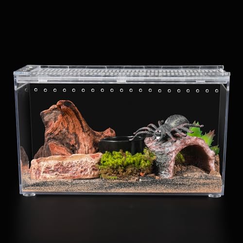 Reptile PC Terrarium 10.2" x 5.9" x 5.7" Full View Reptile Aquarium Tank Starter Kit for Insect Plant Gecko Spider Habitat Amphibians Enclosure with Hide Cave Feeding Bowl - size: M-Starter Kit