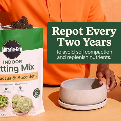 Miracle-Gro Indoor Potting Mix for Cactus and Succulent, Fast-Draining Cactus and Succulent Potting Mix with Plant Food, 8 qt. (2-Pack)