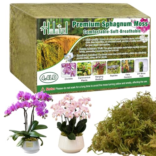 Halatool 4.4LB Green Forest Moss Natural Sphagnum Moss for Plants Fluffy Orchid Moss for Orchids Repotting Dried Plant Moss for Potted Plants Indoor & Outdoor - color: 4.4 lb