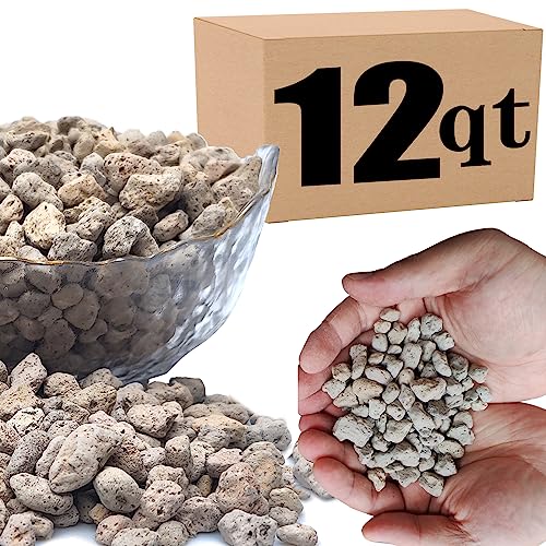 12QT Horticultural Pumice for Plants Professional Sifted - for Succulents, Cactus, Bonsai Plants - 3/8 inch (12QT) - color: 12QT, size: 3/8 inch