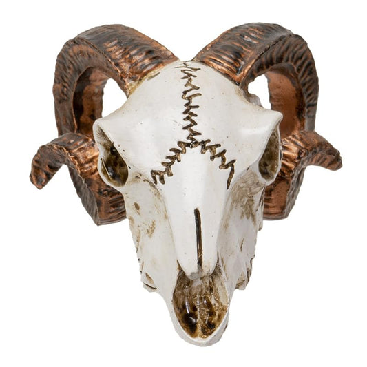 Pacific Giftware Mini Ram Skull Figurine Polyresin Skeleton Head Tabletop Decor Halloween Micro Landscape Accent by Alchemy England