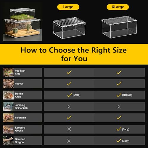 Reptile Growth Reptile PC Terrarium,Tarantula Enclosure,Spider Tank with Magnetic Button.16"x10" x 8" Lizard Enclosure,Reptile Breeding Tank for Insect,Fish,Tarantula,Hermit Crab,Small Bearded Dragon - size: 16" * 10" * 8"