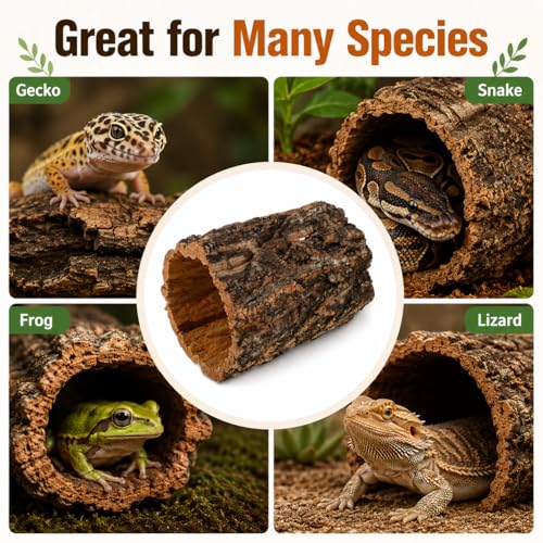 DECHOUS Natural Cork Rounds Reptiles 6x5 Inch Reptile Hideout Tree Bark Tube Terrarium Tank Decor for Gecko Bearded Dragon Snake Climbing, Amphibian Habitat