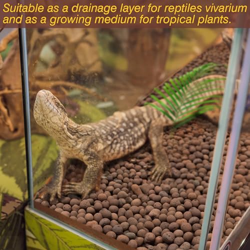 ZeeDix 10 LBS Reptile Substrate Leca Balls - 100% Organic Expanded Clay Pebbles, Ideal Bioactive Terrarium Clay Balls Substrate for Reptile Terrarium Tank, Bearded Dragon, Tortoise, Gecko, Snake &Frog - color: 10LBS