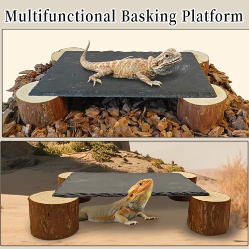 Bearded Dragon Basking Platform,Reptile Basking Platform Slate Rocks with Wooden Pile,Leopard Gecko Hides and Caves Climbing Tank Accessories for Lizards Snakes Tortoise Ball Python(Large)