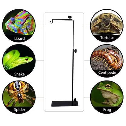 EatingBiting Amphibian Reptile Lampshade Lamp Holder Adjustable Extendable Metal Floor Lamp Holder Portable Animal Heating Lamp Holder for Lizards Turtles Tank Feeding Box 25-37inch