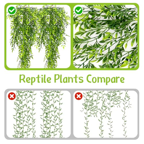 Hamiledyi 2PCS Reptile Feeding Box Snake Breeding Box Transparent Cage and Tank Habitat Decorations 2 PCS Terrarium Hanging Plants with Suction Cups for Lizard, Snake, Bearded Dragon, Leopard Gecko, C