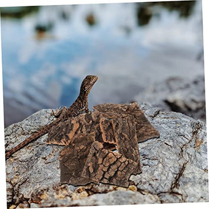 Mipcase 10pcs Cork Bark for Terrarium Reptile Tank Decor Turtle Platform Natural Reptile Tree Bark Set