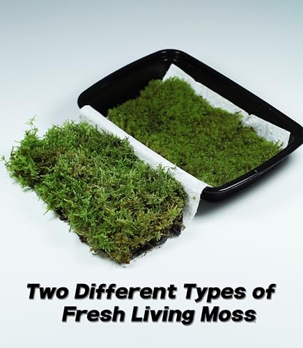 Live Moss Duo Pack – 2 Varieties Mixed Moss for Reptile Terrariums, Amphibian Habitats, Bonsai, Vivariums & Indoor Plant Projects