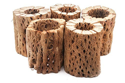 3, 6, 9, 12 Inch All Natural Teddy Bear Cholla Wood Extra Hollow Untreated Organic Aquarium Driftwood Decoration Chew Toy Shrimp Crab Cichlid Nano Tank Birds 1 or 5 Pieces (1 Piece, 3 inch) - size: 1 Piece, 3 inch