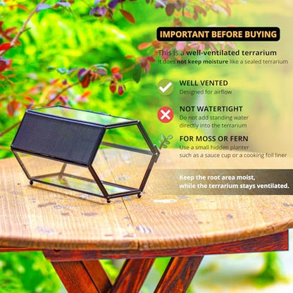 NCYP Small Glass Enclosure Terrarium with Mesh & Door for Tiny Beetle - Hexagon Jumping Spiders Vented Glass Terrarium 7.87'' x 4.52'' x 3.93'', Black (Plants Not Include) - size: 7.87'' x 4.52'' x 3.93''