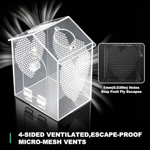 BestYiJo Jumping Spider Enclosure, 6 * 5 * 8" Lengthen Seamless Acrylic Terrarium with Feeder and Waterer – Ideal for Jumping Spiders, Praying Mantis, Scorpions, Hermit Crabs & Micro Reptiles