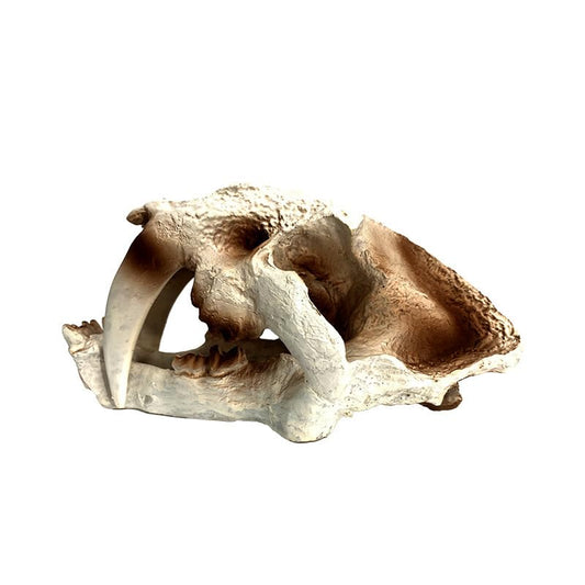 Aquarium Underwater Artificial Hideouts House Resin Aquarium Decorations Art Terrarium Habitat Ornament Fishtank Decorations Large Skull - color: A