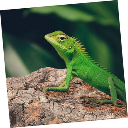 8pcs Natural Reptile Tree Bark Decor for Terrarium Safe Wear-Resistant Background for Lizard Gecko Snake Enclosures Aquatic Reptile Environments - size: 23.00X7.50X1.00CM