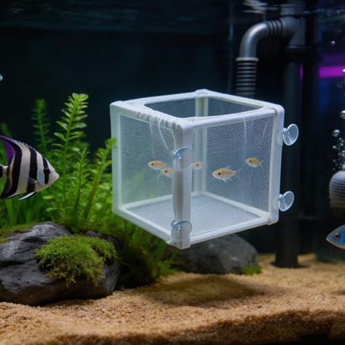 MY MIRONEY 6.3" x 5.63" x 6.22" Fish Incubator Mesh Box Aquarium Breeder Box White Nylon Mesh Juvenile Fish Separation Net Fry Hatchery with Suction Cups Pack of 2 - style: 6.3" x 5.63" x 6.22"; White; without Divider