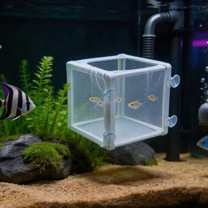 MY MIRONEY 6.3" x 5.63" x 6.22" Fish Incubator Mesh Box Aquarium Breeder Box White Nylon Mesh Juvenile Fish Separation Net Fry Hatchery with Suction Cups Pack of 2 - style: 6.3" x 5.63" x 6.22"; White; without Divider