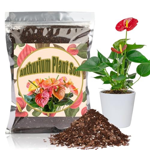 Doter All-Natural Potting Soil for Anthurium & Indoor Plants 1qt - Enhanced Drainage, No Additives | Premium Indoor Plant Soil Mix - size: 1qt