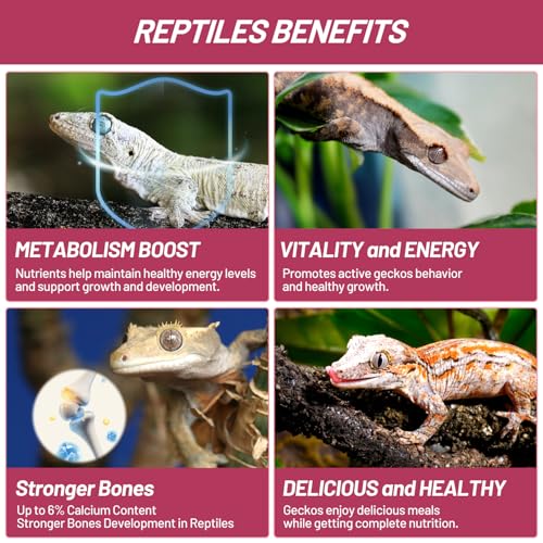 Crested Gecko Food, Fruit Mix Fig and Insects Complete Diet Gecko Food 2oz