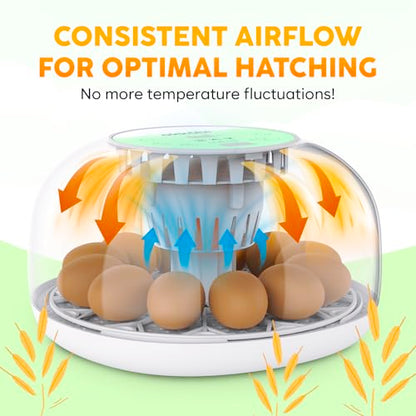 Okkobi M12 Egg Incubator with Automatic Turner and Humidity Control - 12/24 Eggs, 360° View, Easy to Use and Clean - Incubadora de Huevos de Gallina - Made for US - White & Green - color: Green