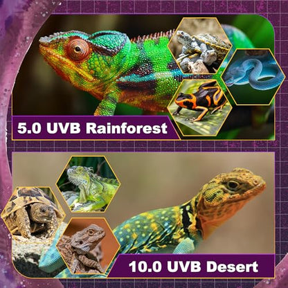 T5 HO UVB Lighting Combo Kit, Reptile Light Fixture, 8W 10.0 UVB | Fluorescent Light Bulb, Tropical Light for Reptile and Amphibian, Basking Light for Bearded Dragon, High Output Natural Light