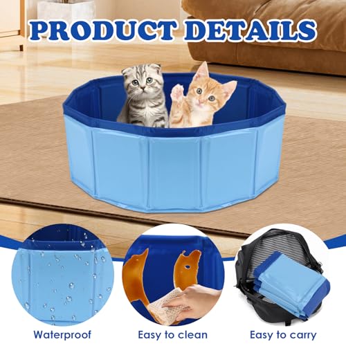 Foldable Bearded Dragon Bathtub, Bearded Dragon Pool, Bearded Dragon Bathtub with Soft Brush and Towel Set Reptile Accessories