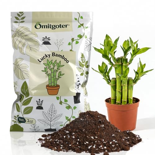 Pure Natural Potting Soil for Lucky Bamboo Plants 10qt- Superior Drainage & Breathability, Ideal Indoor Plant Soil - color: LuckyBambooSoil, size: 10QT
