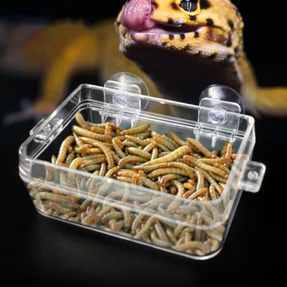 DOITOOL Lizard Feeding Bowl with Suction Cup Anti-Escape Reptile Pet Bowl Large Size Multi-Function Food Cup for Terrarium Reptile Feeding