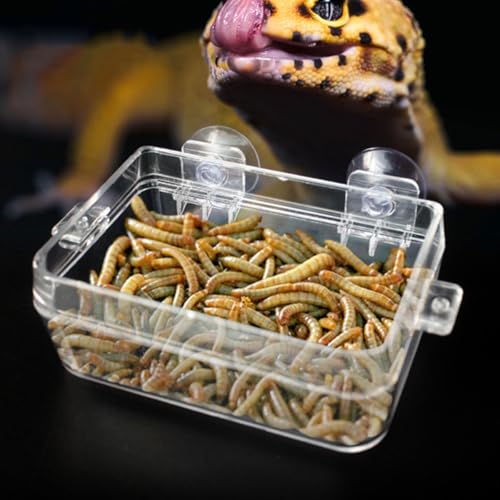 PRETYZOOM Reptile Feeding Container Anti-Escape Food Box Large Gecko Feeding Bowl with Suction Cups for Lizard and Chameleon Terrarium Use