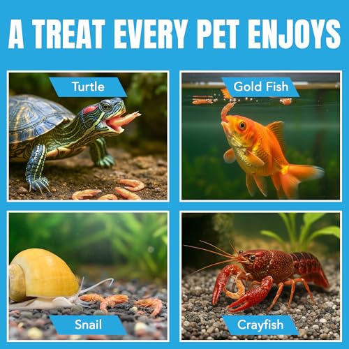 JOR Dried Shrimps for Turtle, Freeze-Dried High Protein, Low Fat Snack for Shell Growth & Energy, Easy-Chew Treat for Tropical Fish, Reptiles, Amphibians & Other Aquarium Pets, 1 oz