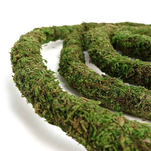 USMOLA Moss Vine for Reptiles, Bendable Climbing Vines Reptile Tank Accessories, Natural Moss Rope for Leopard Gecko, Lizard, Snake, Chameleon, Frog Terrarium Decor (Jungle Green, 6.5 FT) - size: 6.5 FT