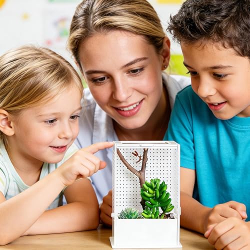 Clear Terrarium, Mantis Habitat Tank, Reptile Cage with Easy Viewing Design, Enclosure with Removable Lid, Acrylic Cage Ventilation Slots, Nesting Habitat for Breeding and Feeding - size: Large