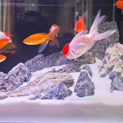 YISZM Aquarium Sand, 5lbs White Fish Tank Sand, Aquarium Gravel Substrate for Aquascaping, Vivariums, Terrariums, Plants and Crafts - color: White, size: 5 lbs
