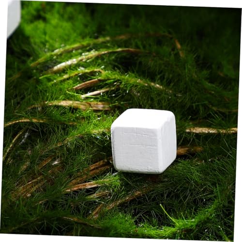 POPETPOP 30pcs Natural for Reptiles Tortoise Turtle Frog Lizard Chameleon Promotes Growth Provides Essential Microelements Supports Health and Water Quality Stabilization