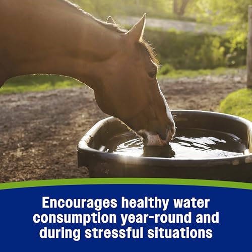 Farnam Apple Elite Electrolyte Supplement for Horses, Replaces Vital Minerals, for Hydration, No Added Sugar, Horse Supplements with Sodium, Potassium, Calcium & Magnesium, 7.5 lb, 40 Day Supply - size: 7.5 pounds